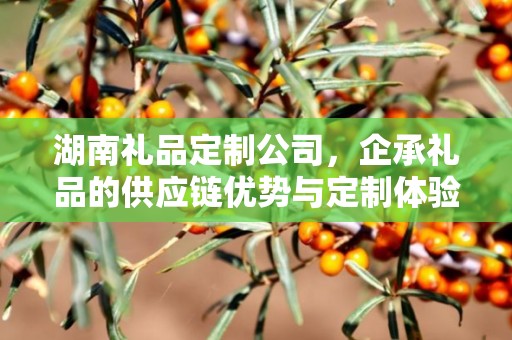 湖南礼品定制公司，企承礼品的供应链优势与定制体验