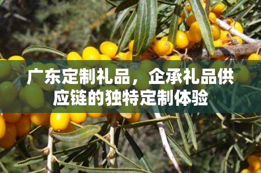 广东定制礼品，企承礼品供应链的独特定制体验