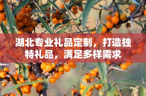 湖北专业礼品定制，打造独特礼品，满足多样需求
