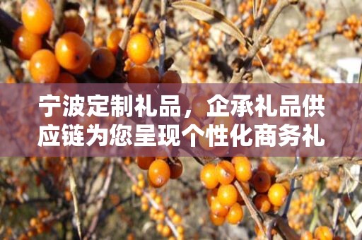 宁波定制礼品，企承礼品供应链为您呈现个性化商务礼品之选