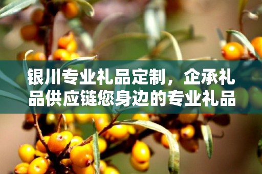 银川专业礼品定制，企承礼品供应链您身边的专业礼品定制公司